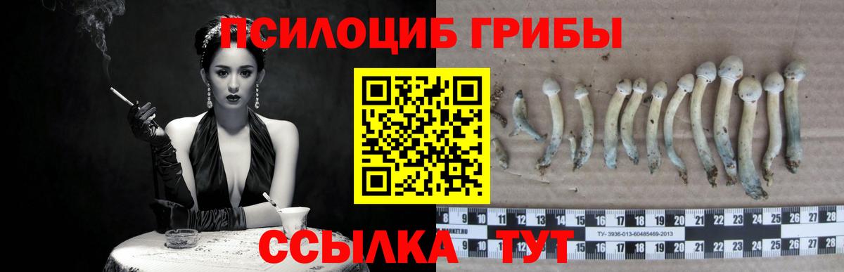 Жуковский  Псилоцибиновые грибы ЛСД  Вход с VPN  Псилоцибиновые грибы прущие грибы 